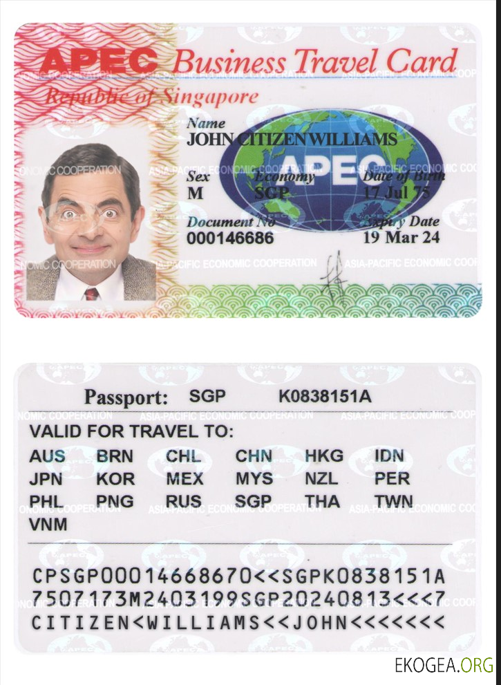 Carte de voyage d'affaires à SINGAPOUR